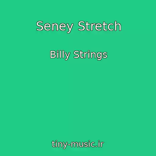 کاور آهنگ Seney Stretch از Billy Strings