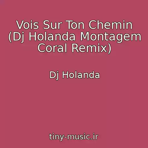 کاور آهنگ Vois Sur Ton Chemin (Dj Holanda Montagem Coral Remix) از Dj Holanda