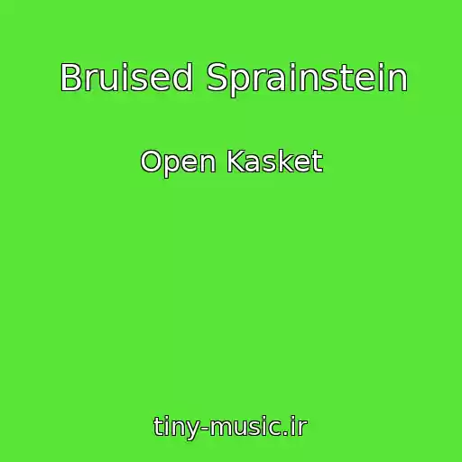 کاور آهنگ Bruised Sprainstein از Open Kasket