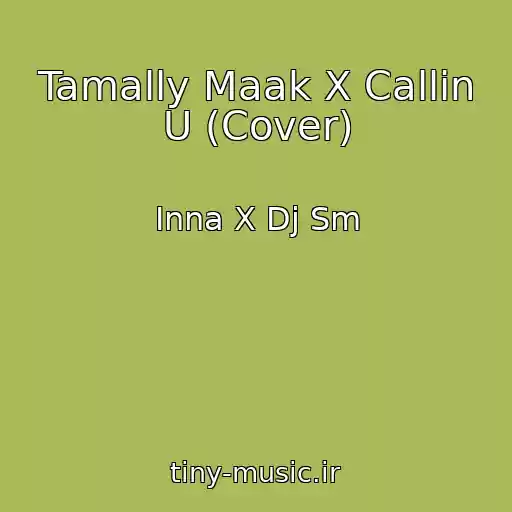 کاور آهنگ Tamally Maak X Callin U (Cover) از Inna X Dj Sm
