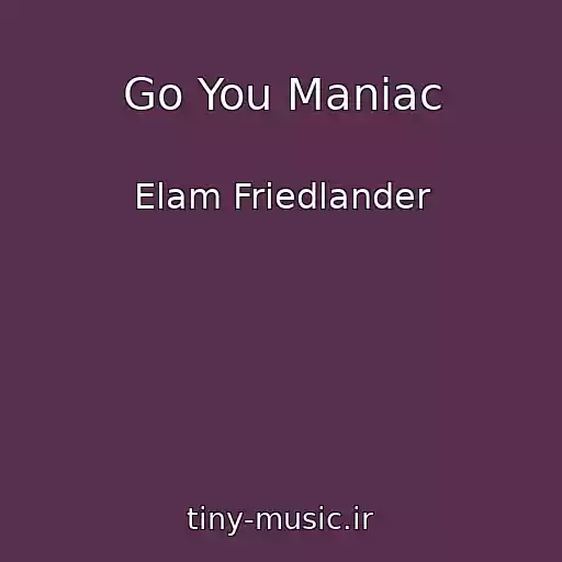 کاور آهنگ Go You Maniac از Elam Friedlander