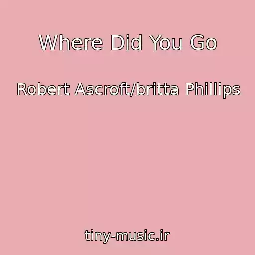 کاور آهنگ Where Did You Go از Robert Ascroft/britta Phillips