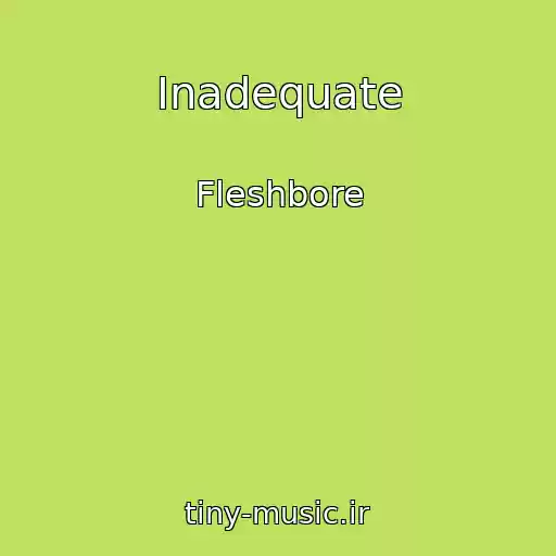 کاور آهنگ Inadequate از Fleshbore