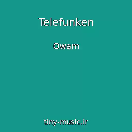 کاور آهنگ Telefunken از Owam
