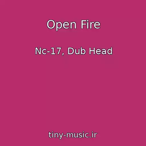 کاور آهنگ Open Fire از Nc-17, Dub Head
