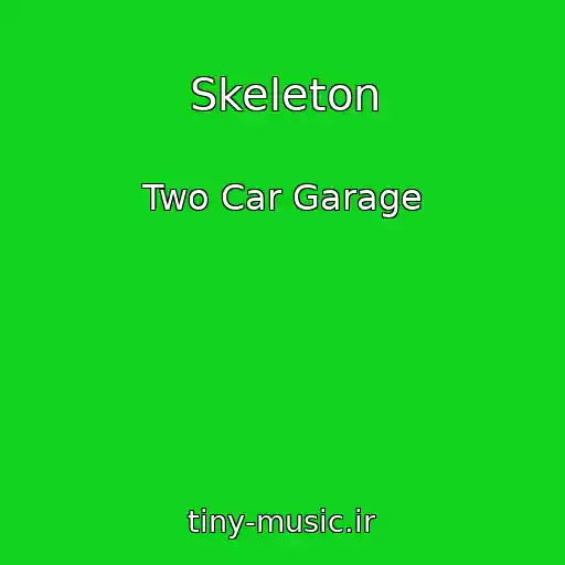 کاور آهنگ Skeleton از Two Car Garage