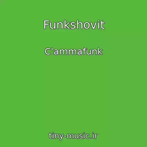 کاور آهنگ Funkshovit از C'ammafunk