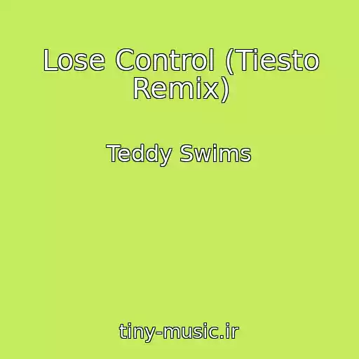 کاور آهنگ Lose Control (Tiesto Remix) از Teddy Swims
