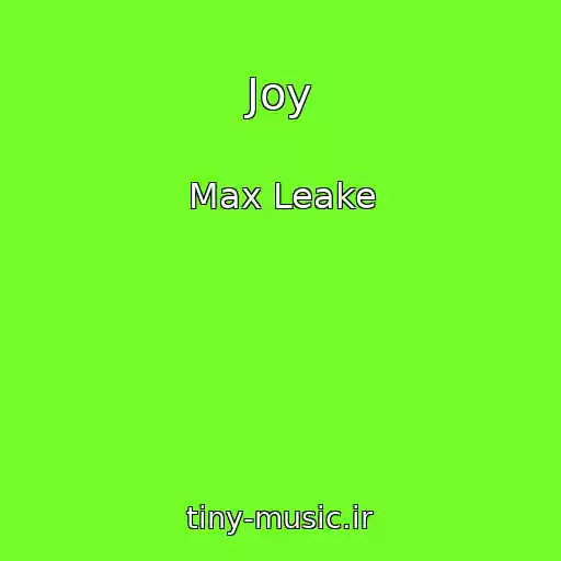 کاور آهنگ Joy از Max Leake