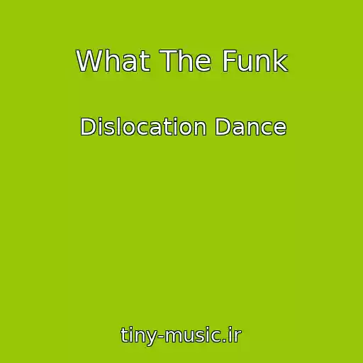 کاور آهنگ What The Funk از Dislocation Dance