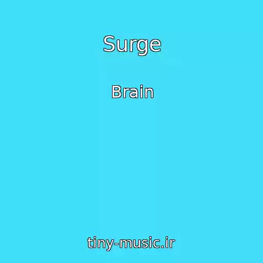 کاور آهنگ Surge از Brain