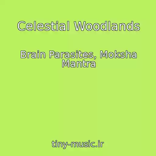 کاور آهنگ Celestial Woodlands از Brain Parasites, Moksha Mantra