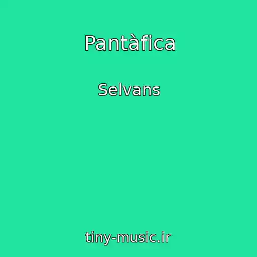 کاور آهنگ Pantàfica از Selvans