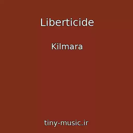کاور آهنگ Liberticide از Kilmara