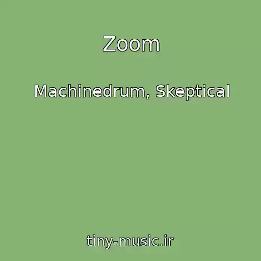 کاور آهنگ Zoom از Machinedrum, Skeptical