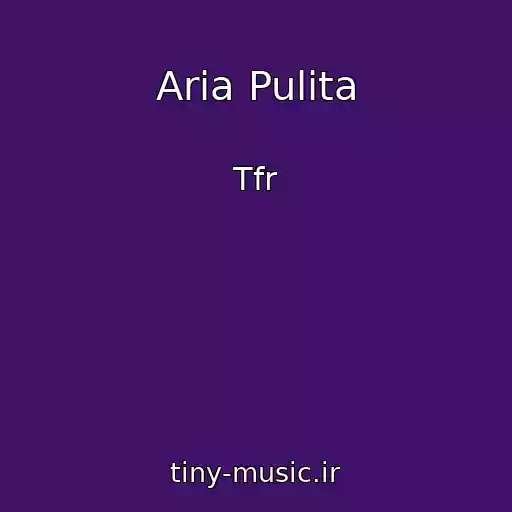 کاور آهنگ Aria Pulita از Tfr