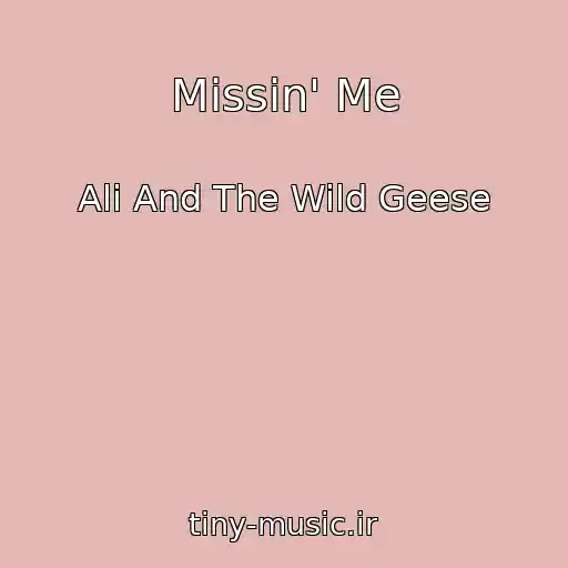 کاور آهنگ Missin' Me از Ali And The Wild Geese