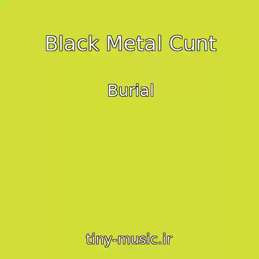 کاور آهنگ Black Metal Cunt از Burial