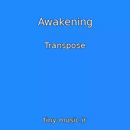 کاور آهنگ Awakening از Transpose