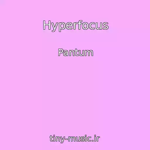 کاور آهنگ Hyperfocus از Pantum
