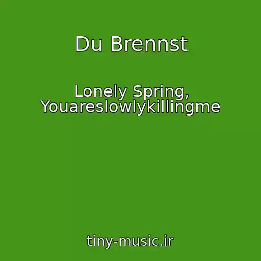 کاور آهنگ Du Brennst از Lonely Spring, Youareslowlykillingme