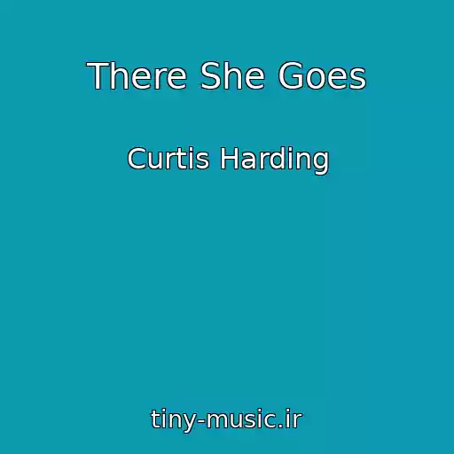 کاور آهنگ There She Goes از Curtis Harding