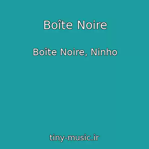 کاور آهنگ Boîte Noire از Boîte Noire, Ninho