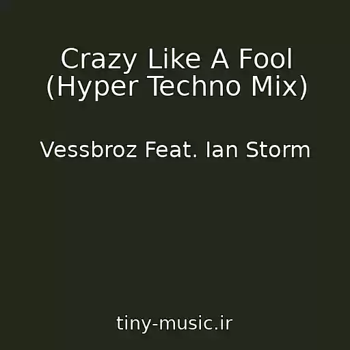 کاور آهنگ Crazy Like A Fool (Hyper Techno Mix) از Vessbroz Feat. Ian Storm