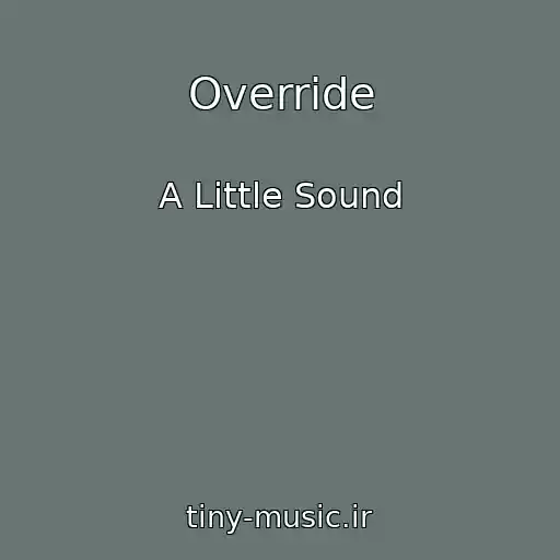 کاور آهنگ Override از A Little Sound