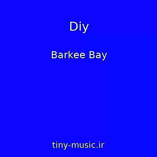 کاور آهنگ Diy از Barkee Bay