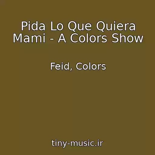 کاور آهنگ Pida Lo Que Quiera Mami - A Colors Show از Feid, Colors