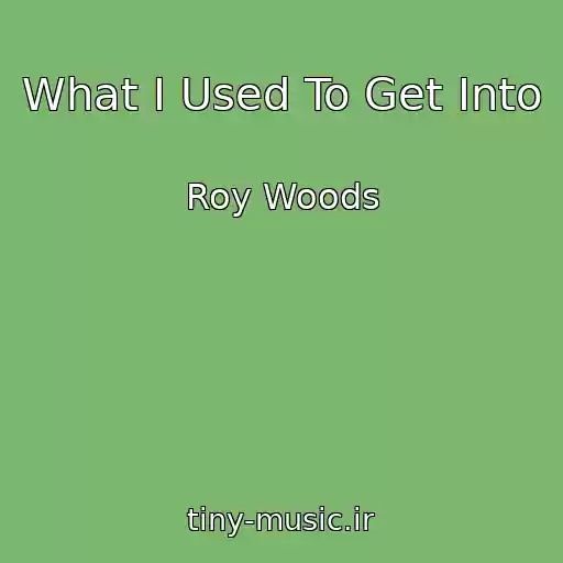 کاور آهنگ What I Used To Get Into از Roy Woods