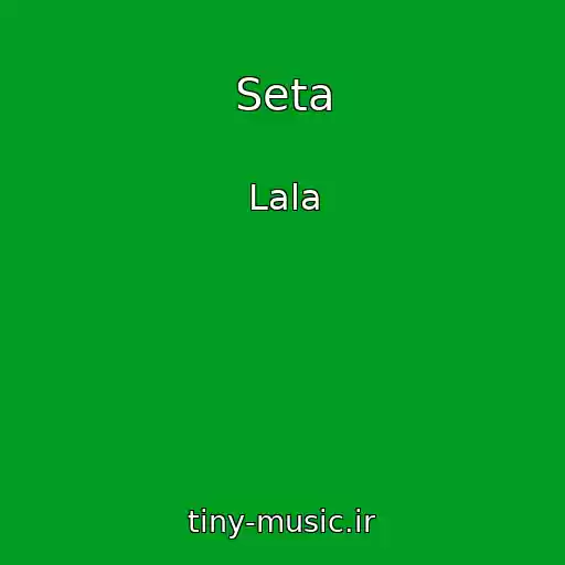 کاور آهنگ Seta از Lala