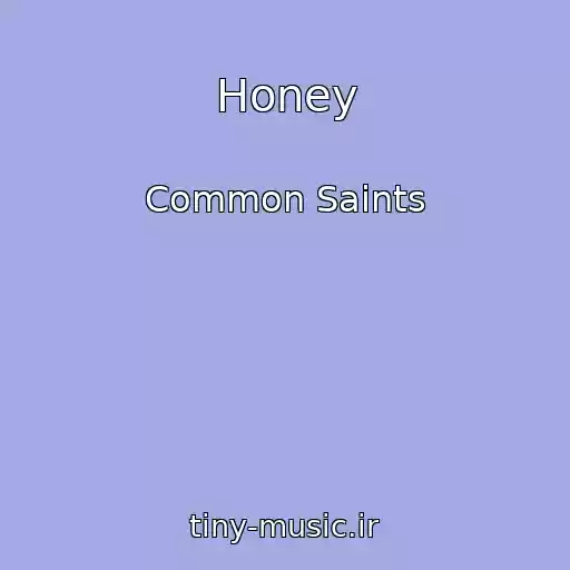 کاور آهنگ Honey از Common Saints