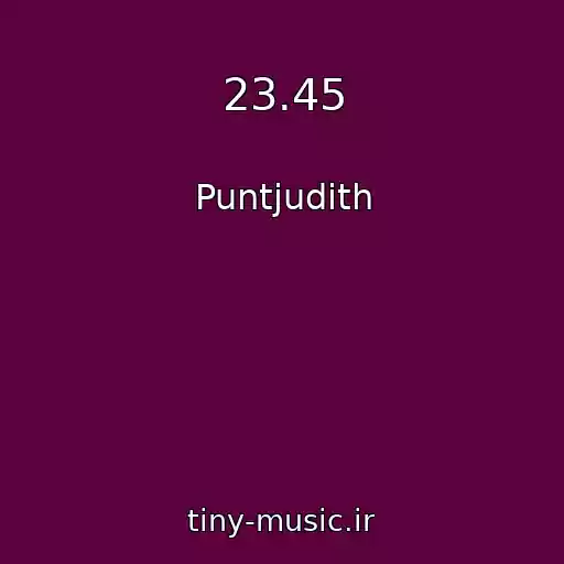 کاور آهنگ 23.45 از Puntjudith
