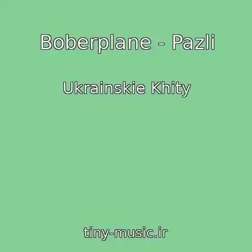 کاور آهنگ Boberplane - Pazli از Ukrainskie Khity