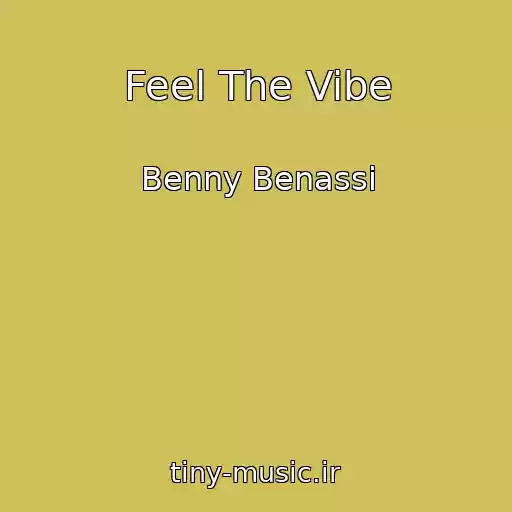 کاور آهنگ Feel The Vibe از Benny Benassi