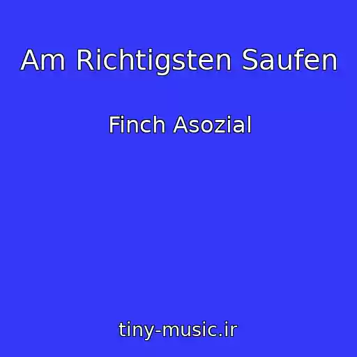 کاور آهنگ Am Richtigsten Saufen از Finch Asozial