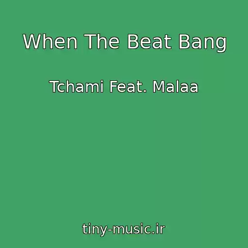 کاور آهنگ When The Beat Bang از Tchami Feat. Malaa