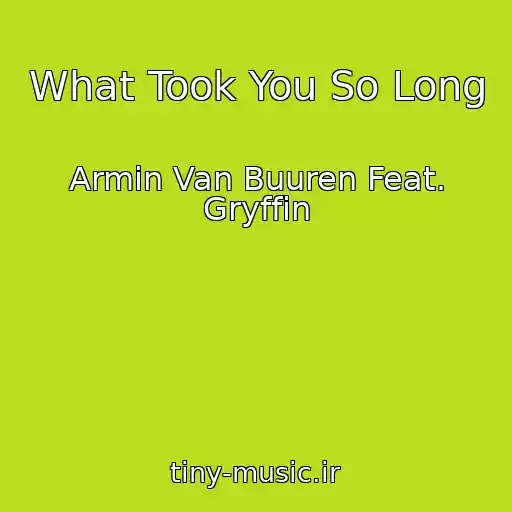 کاور آهنگ What Took You So Long از Armin Van Buuren Feat. Gryffin