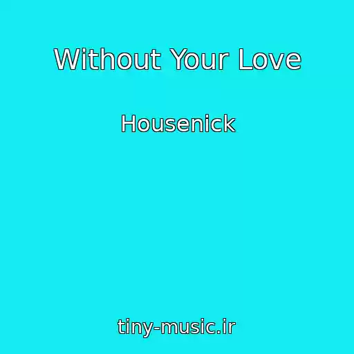 کاور آهنگ Without Your Love از Housenick