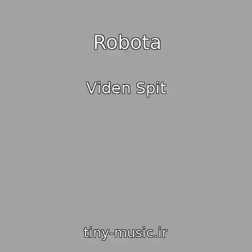 کاور آهنگ Robota از Vіden Spit