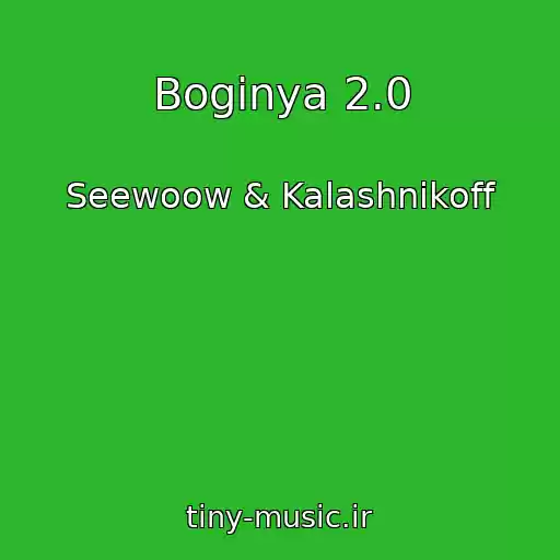 کاور آهنگ Boginya 2.0 از Seewoow & Kalashnikoff
