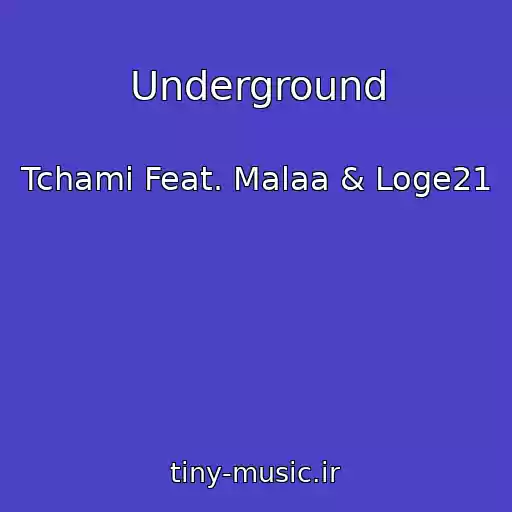 کاور آهنگ Underground از Tchami Feat. Malaa & Loge21
