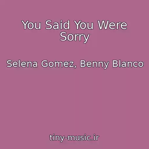 کاور آهنگ You Said You Were Sorry از Selena Gomez, Benny Blanco