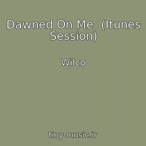 کاور آهنگ Dawned On Me  (Itunes Session) از Wilco