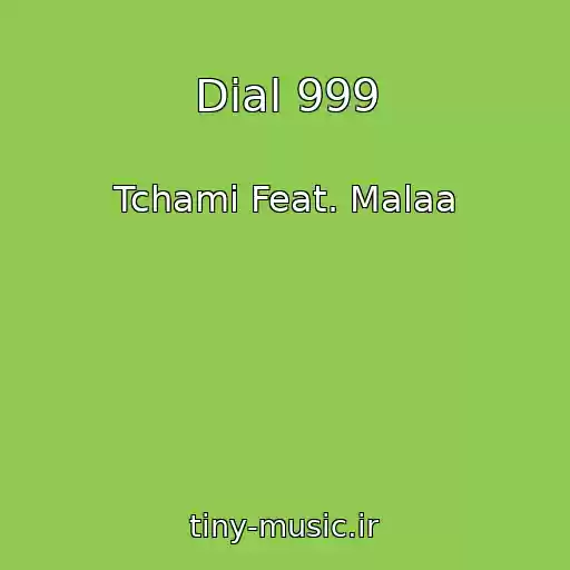 کاور آهنگ Dial 999 از Tchami Feat. Malaa
