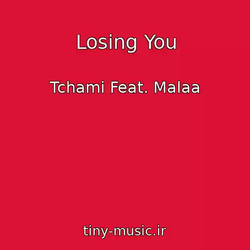کاور آهنگ Losing You از Tchami Feat. Malaa