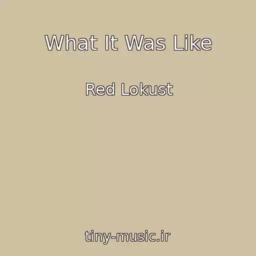 کاور آهنگ What It Was Like از Red Lokust