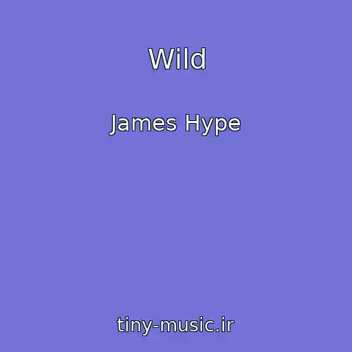 کاور آهنگ Wild از James Hype